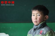 某职业学院大学捐助（已捐助）（dbxzxjxxx496）