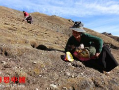 藏区贫困助学和物资项目捐助介绍