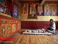 如果大学专科毕业找不到工作，她还想继续读个本科