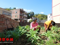 为了医治无法行走的儿子，看不到任何希望的爸妈哭干了眼泪！