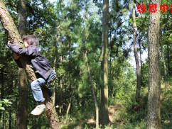 乡村小学荒废他六年时间，经过多年努力考上了民办本科！