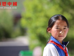 第三完全小学五年级捐助结束（已捐助，汇款中）（Bqhnqdswx1734）