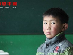 某职业学院大学捐助捐助结束（已捐助，汇款中）（dbxzxjxxx496）