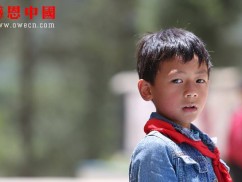 职业技术学院大学捐助捐助结束（已捐助，汇款中）（Bgznyzjgpqxx050）