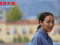 某大学大学捐助（已捐助）（Bqhyszxs043）