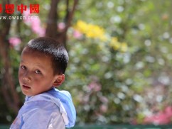 东坝小学一年级（待捐助）（dbxzxjxxx1225）