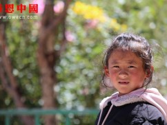 东坝小学一年级捐助结束（已捐助）（dbxzxjxxx1226）