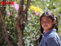 东坝小学一年级捐助结束（已捐助）（dbxzxjxxx1227）