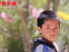 东坝小学一年级捐助结束（已捐助，汇款中）（dbxzxjxxx1229）