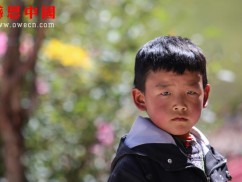 东坝小学一年级捐助结束（已捐助，汇款中）（dbxzxjxxx1230）