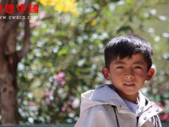 东坝小学一年级（待捐助）（dbxzxjxxx1233）