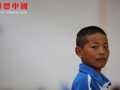 第二完全小学六年级捐助结束（已捐助，汇款中）（mdwx790）