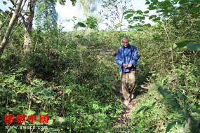没有牙齿的我吃饭时间太长，经常被一起生活的表嫂责怪！（捐助明细）