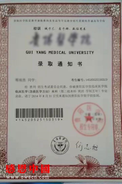 收入证明_临床医学收入(2)